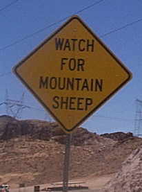 Picture_Sign_Mountain_Sheep.jpg (7116 bytes)